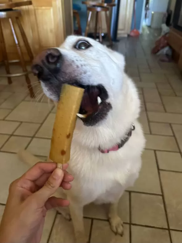 Pollack Fish Cake Bar for Dogs - Image 5