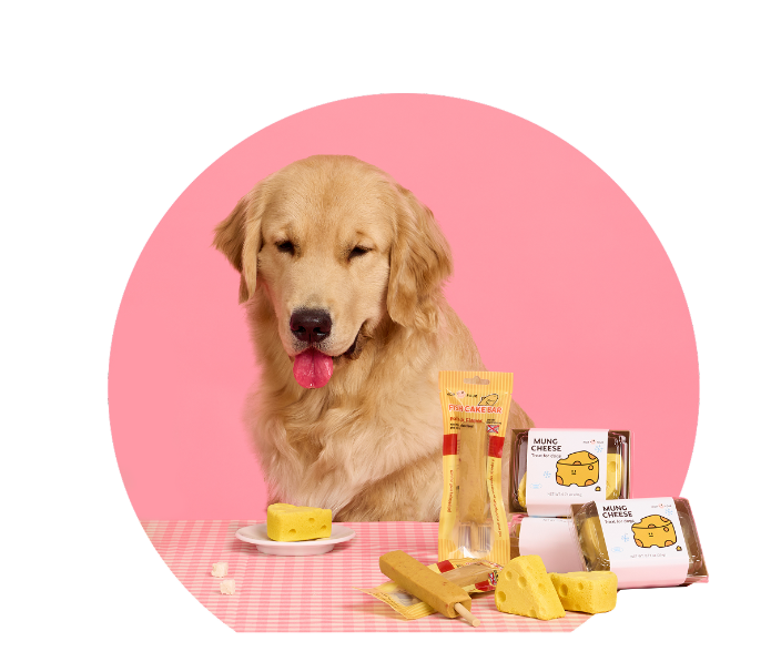 main-banner-2-3-dog