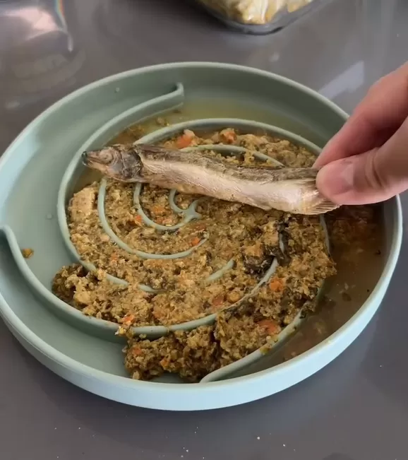 Freeze-Dried Smelt for Dogs & Cats - Image 5