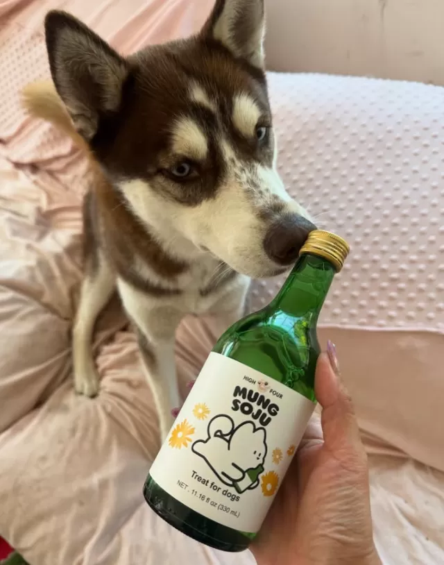 Mung Soju – Non-Alcoholic Dog Soju (11.16 fl oz, 330mL) - Image 3