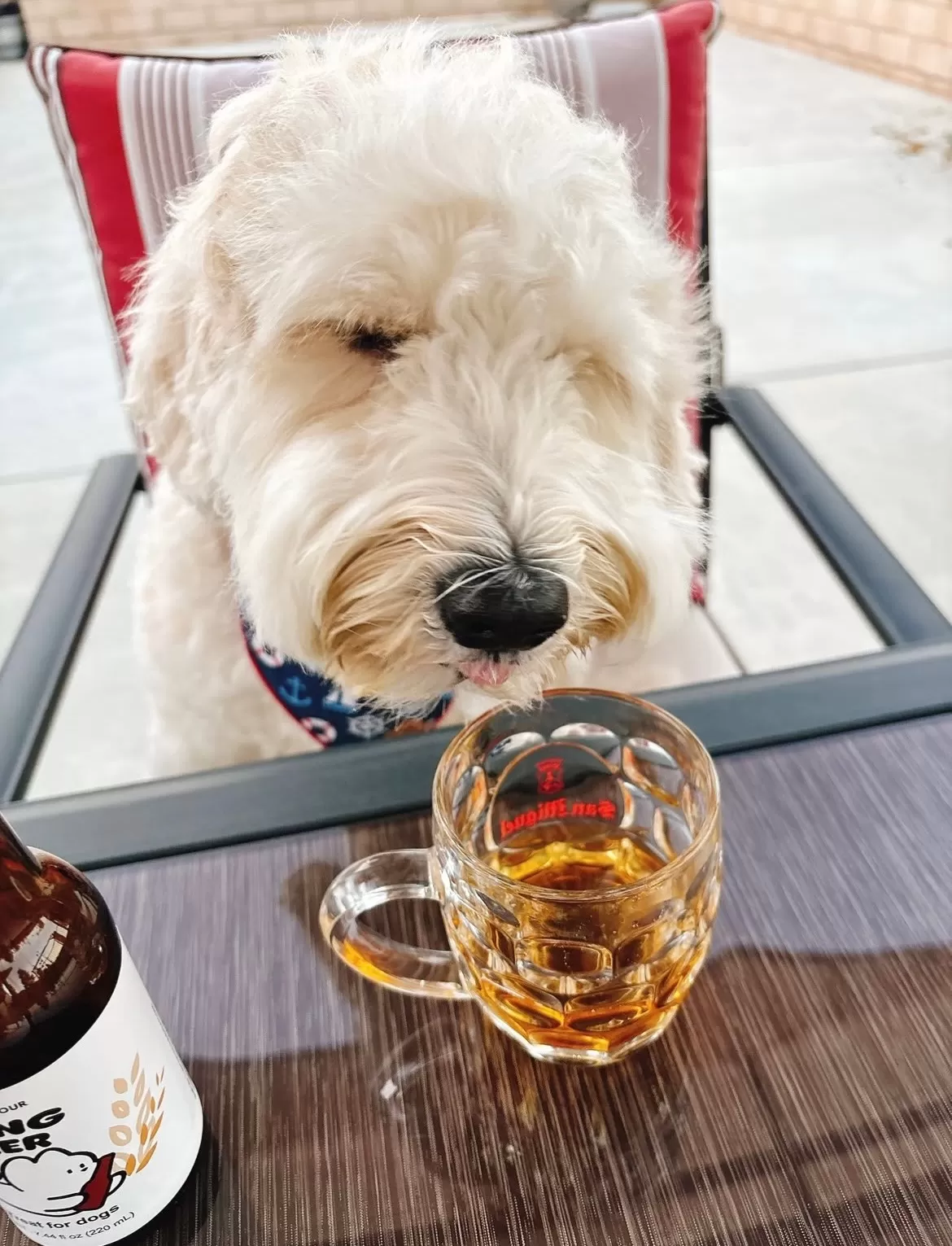 Mung Beer – Non-Alcoholic Dog Beer (7.44 fl oz, 220mL) - Image 5