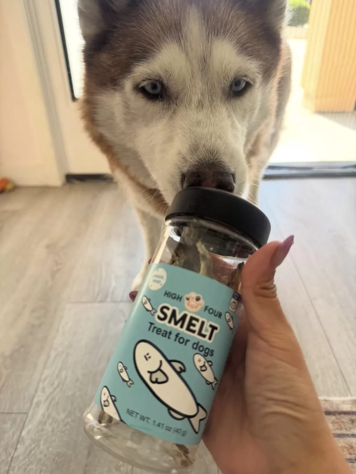 Freeze-Dried Smelt for Dogs & Cats - Image 3