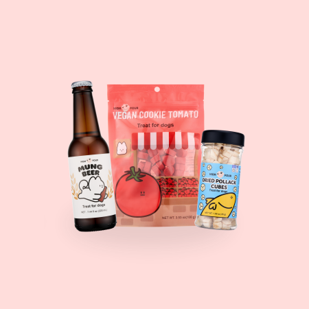 High Four Beer Combo Pack